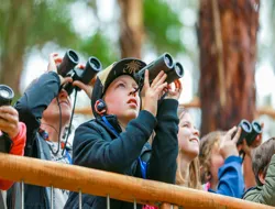 Walk with Wildlife Guided Tour at Wildlife Wonders